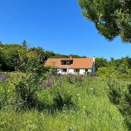 Historic House On Natural Plot In 度假居 *